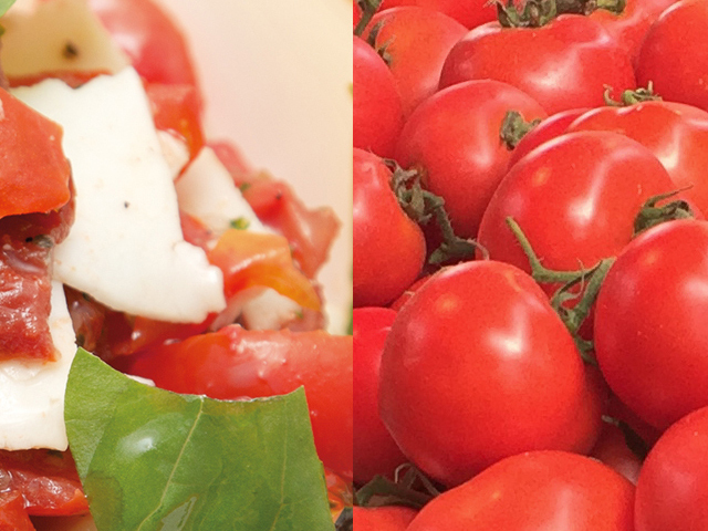 Salads and sides: Tasty Tomato Sauce - Rossa di Gusto