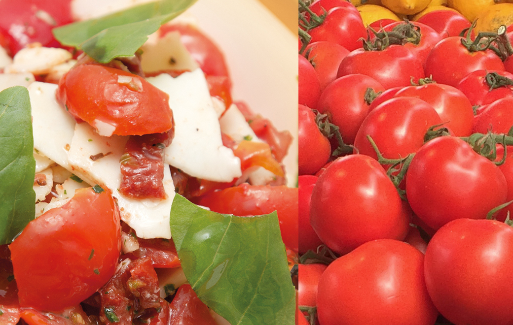 Tasty Tomato Sauce - Rossa di Gusto