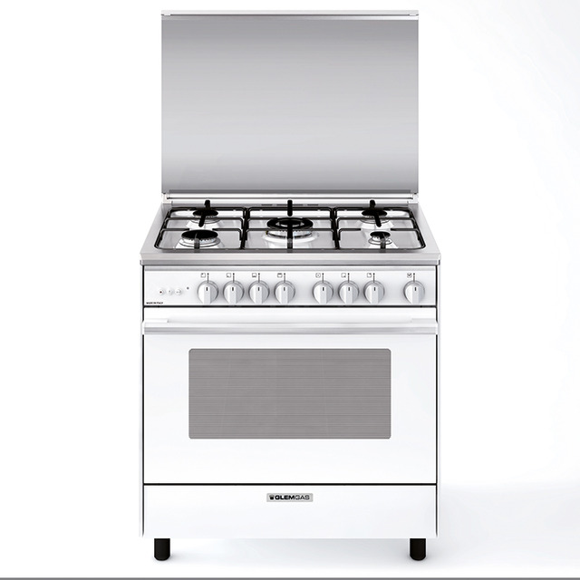 Multifunction gas oven with fan