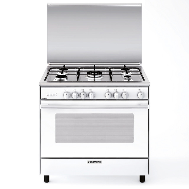 Multifunction gas oven with fan